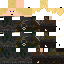 Texture for DevCat