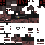 Texture for Steve