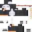 Texture for Kung fu penguin