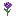 Texture for allium cc