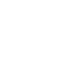 Texture for unicode_page_0a
