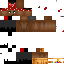 Texture for RICARDO