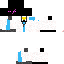 Texture for enderdoc