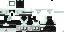 Texture for clone skin