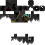 Texture for Phantom
