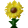 Texture for Touhoucraft Texturepack Dandelion Block
