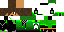 Texture for Fixed Skin