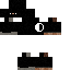 Texture for Ninjaa 