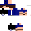 Texture for steve