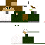 Texture for Fern