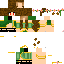 Texture for волшебница2