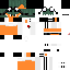 Texture for Cenor4