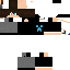 Texture for NecroFly
