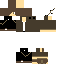 Texture for SOIL_MAN
