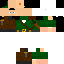 Texture for robin carecao