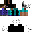 Texture for endersteve