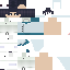 Texture for cang du 1507