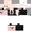Texture for Steve