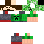 Texture for Creeper fan
