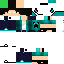Texture for Hirobrine
