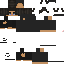 Texture for gt