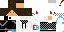 Texture for ErikBag