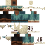 Texture for snowy steve