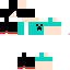 Texture for Steve Crafting