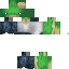 Texture for CJ Turtle