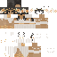 Texture for Aswatha