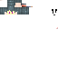 Texture for Hedless  Ts