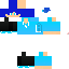 Texture for leo