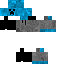Texture for legendaryplayer