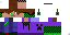 Texture for Quark
