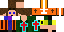 Texture for robin