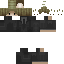 Texture for lizardISN