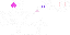 Texture for White Bunny Cute