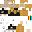 Texture for ds