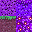 Texture for Aphmau and Aaron Grass