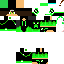 Texture for Steve