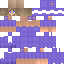 Texture for Shulky