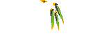Texture for Shock Elytra