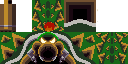 Texture for Bowser
