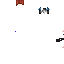 Texture for s