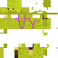 Texture for sherk calato 