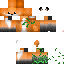 Texture for foxyyyyyYyyY