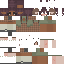 Texture for c o t t a g e