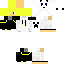 Texture for 5t5