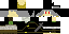 Texture for Dark Link