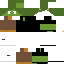 Texture for CACTOon3R4inys